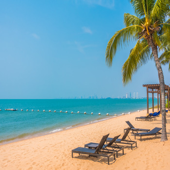 beautiful-beach-sea-with-palm-tree